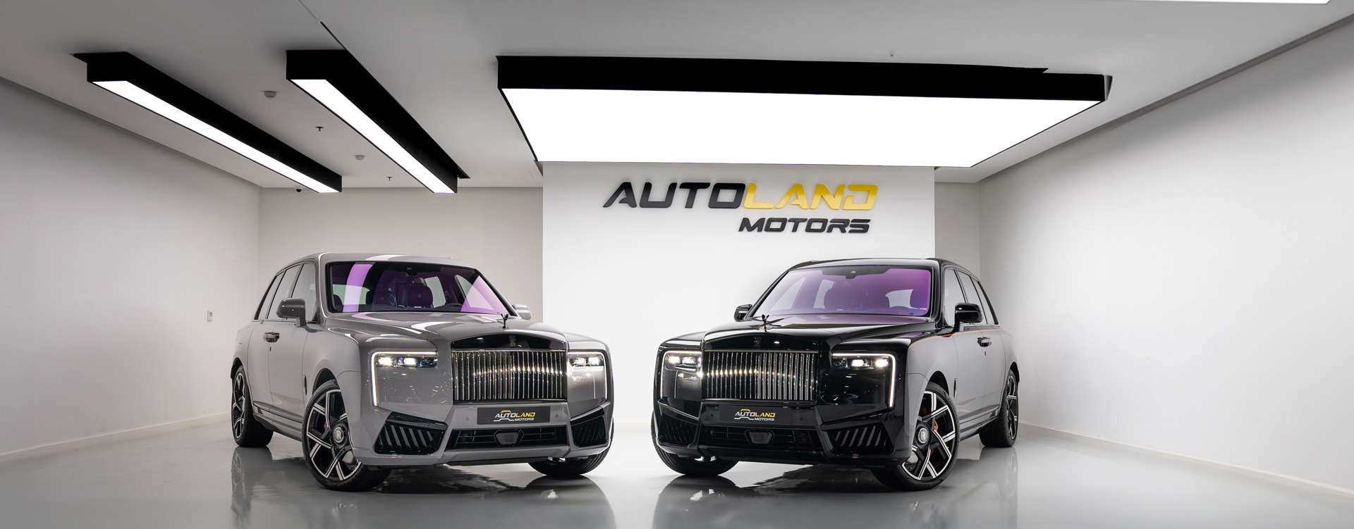 Auto Land Motors showroom