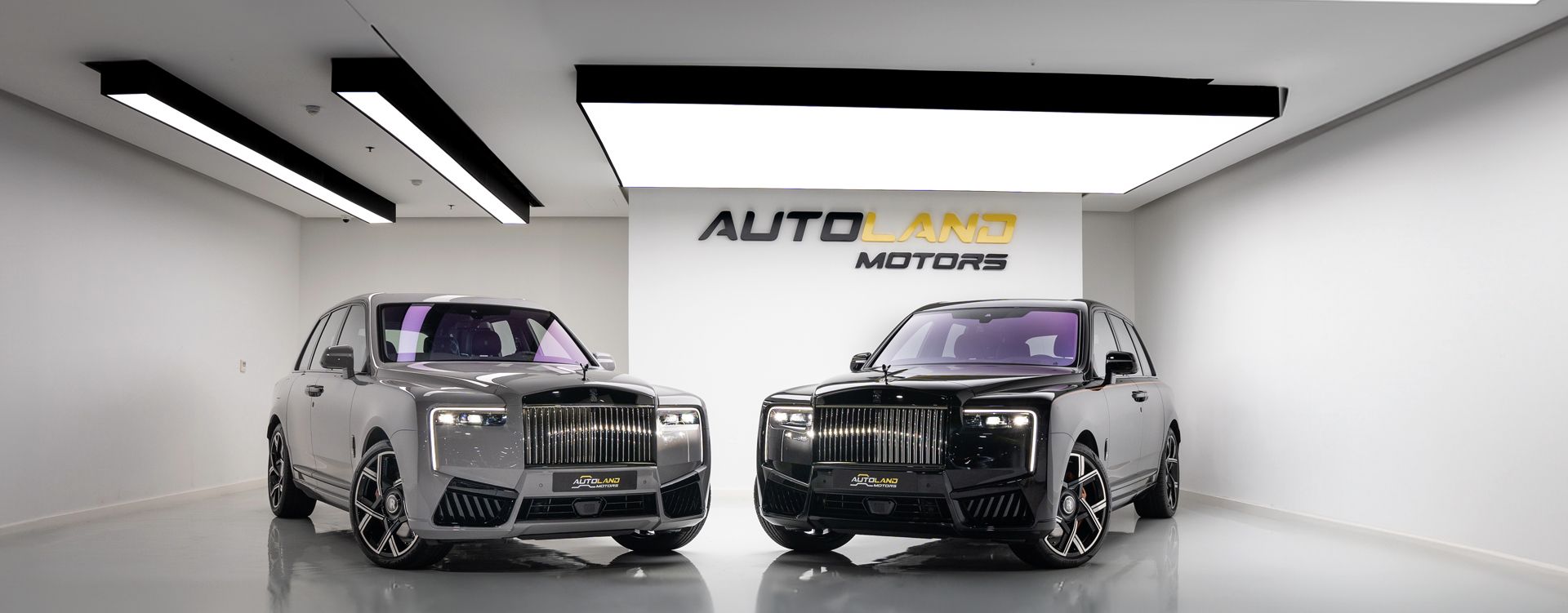 Auto Land Motors showroom